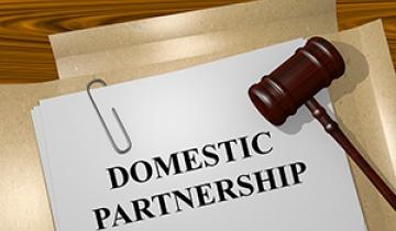 Domestic Partnership