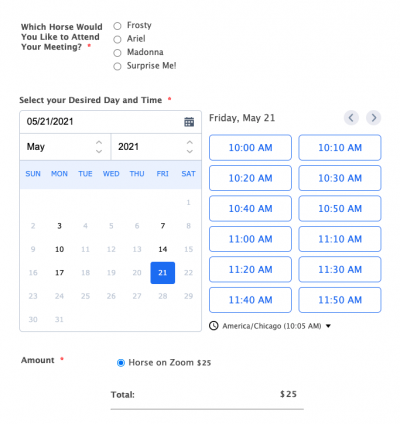 MRAppys on Zoom Scheduler