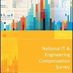 2024 National IT & Engineering Survey